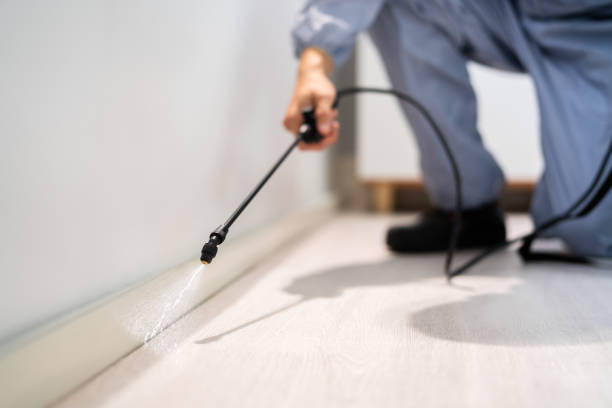 Bed Bug Pre-Treatment Preparation Assessment in Essexville