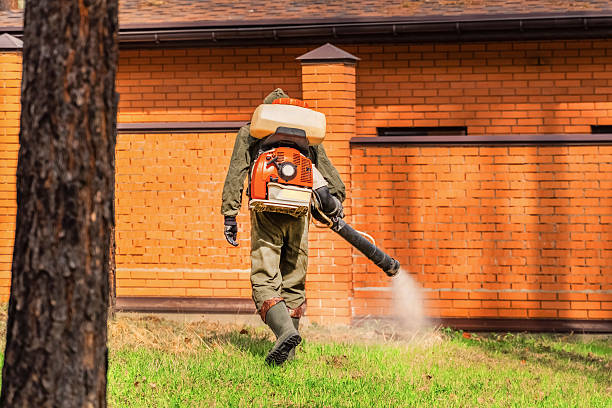 Bed Bug Clearance Verification and Documentation in Essexville